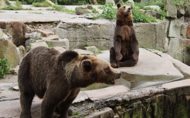 Фото использовано в качестве иллюстрации, из открытых источников