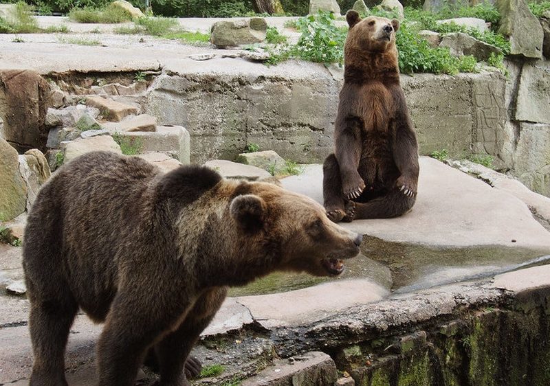 Фото использовано в качестве иллюстрации, из открытых источников