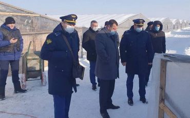 © Пресс-служба прокуратуры Волгоградской области