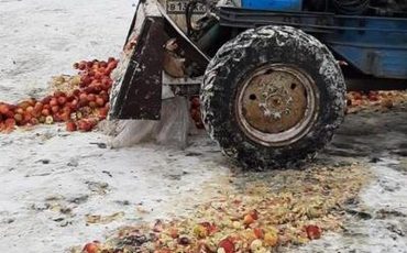 Фото с сайта ursn.spb.ru