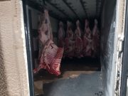 Фото: sztu.customs.gov.ru