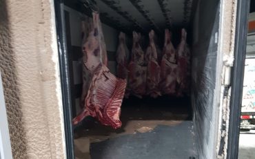 Фото: sztu.customs.gov.ru