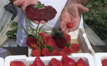 Скриншот видео