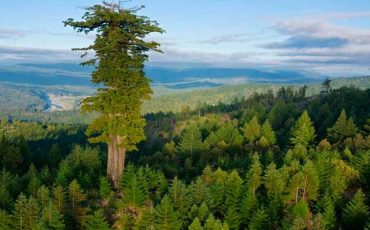 Фото использовано в качетсве иллюстрации, learntheworld.info