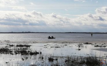 Фото использовано в качестве иллюстрации