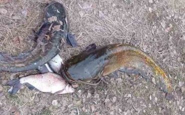 Фото Пинского райисполкома