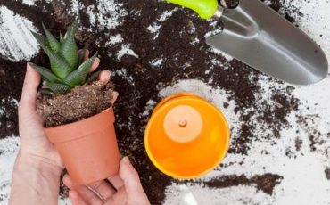 Фото с сайта lifehacker.ru