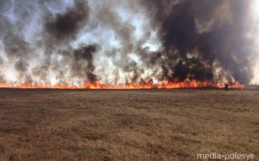 Фото предоставлено МЧС