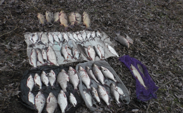 Фото Микашевичской МРИ