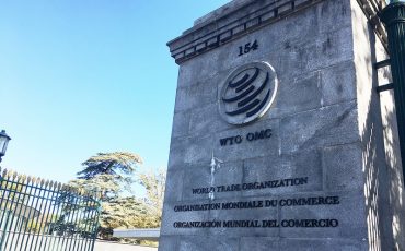 Фото: wto.org