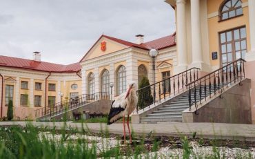 Фото Александра Прибыщука из соцсетей