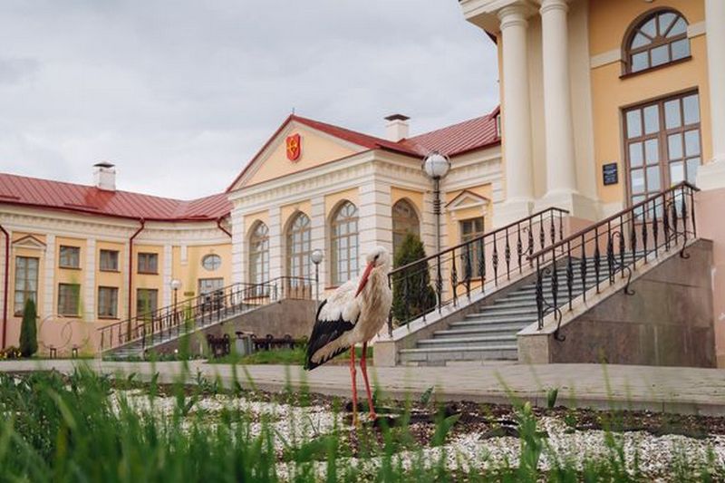 Фото Александра Прибыщука из соцсетей