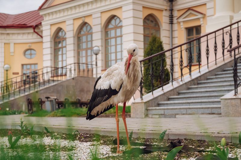 Фото Александра Прибыщука