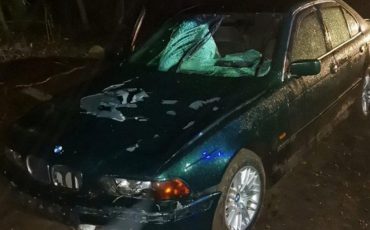 Фото ГАИ УВД