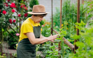 Фото: bondvit/AdobeStock