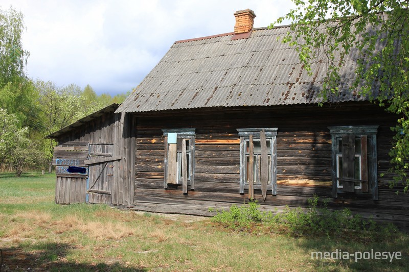 Фото использовано в качестве иллюстрации