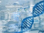 Фото: pixabay.com