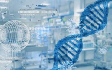 Фото: pixabay.com