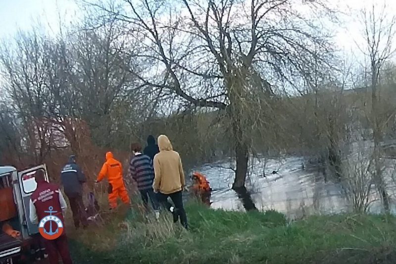 Фото использовано в качестве иллюстрации, ОСВОД