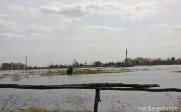 Фото использовано в качестве иллюстрации, из архива МП
