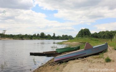 Фото использовано в качестве иллюстрации