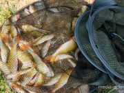 Фото использовано в качестве иллюстрации, из архива МП