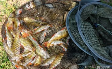 Фото использовано в качестве иллюстрации, из архива МП