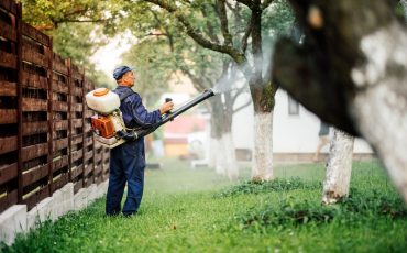 Фото: Hoda Bogdan/AdobeStock