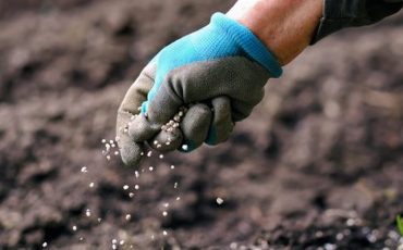 Фото Лайфхакер