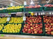 Фото использовано в качестве иллюстрации, из архива МП