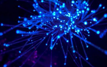 Фото: JJ Ying / Unsplash.com