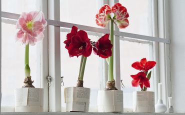 Фото: Johner Images/Getty Images