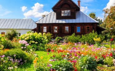 Фото: OlyaSolodenko / iStock / Getty Images Plus / Getty Images