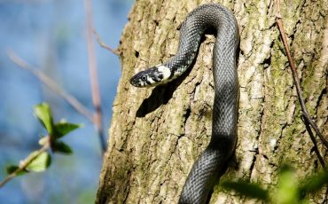 Фото: Getty Images/500px Plus/500Px Plus
