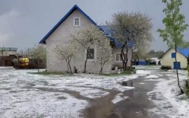 Фото читателя