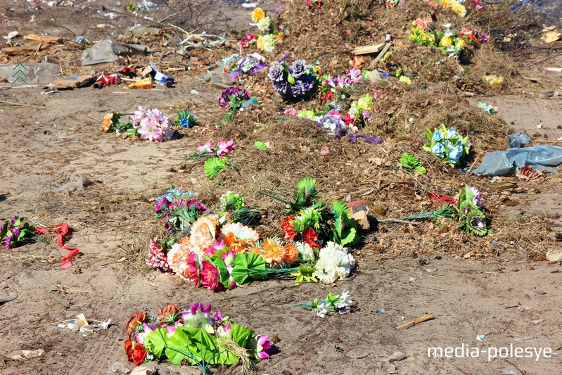 Фото использовано в качестве иллюстрации, из архива МП