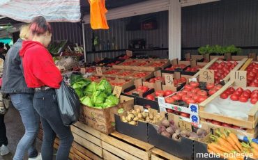 Фото использовано в качестве иллюстрации