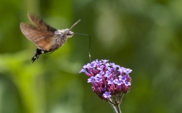 Фото использовано в качестве иллюстрации