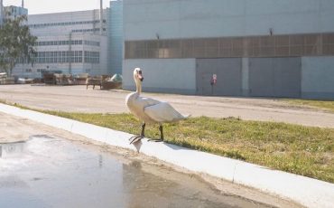 Фото РУПП «Гранит»