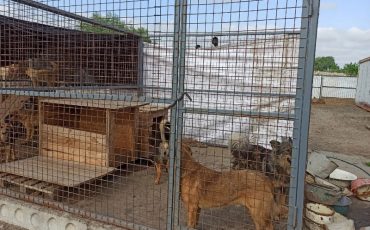 Фото из группы Zello 