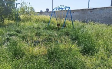 Фото из группы 