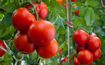 Фото depositphotos.com