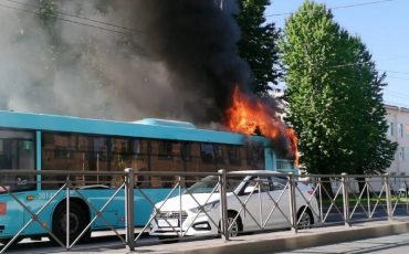 Фото использовано в качестве иллюстрации: twitter.com/Wild_SPb