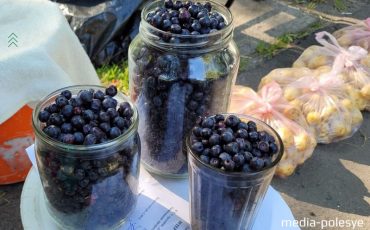 Её собрали в Дрогичинском районе. Ягоды крупные и 