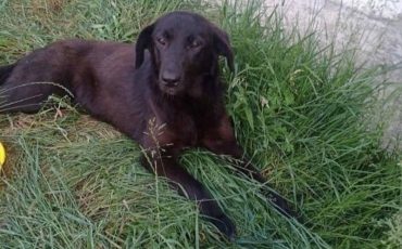 Фото от подписчицы