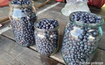 Фото из архива МП