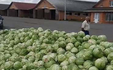 Скриншот видео