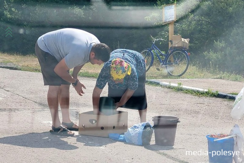 Клубнику в лунинецком районе можно купить не только на рынке, но на трассе. В воскресенье ведро продавали за 25 рублей