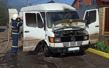 Фото использовано в качестве иллюстрации