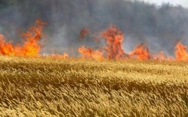 Фото использовано в качестве иллюстрации, topor.od.ua